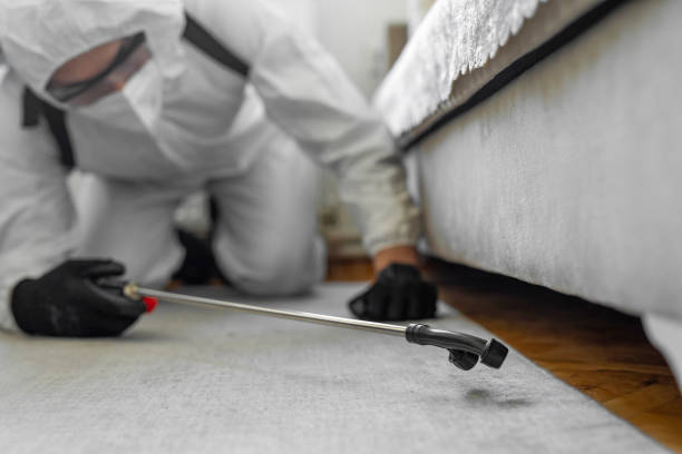 Professional Bed Bug Control technician working in Garden City, NY