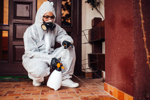 Reliable Bed Bug Control contractor in Garden City, NY by Nex Pest Control