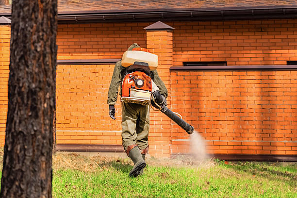 Trusted Bed Bug Control service in Garden City, NY - Nex Pest Control